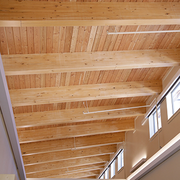 Long Span Glued-Laminated Beam Installed Inside a Building As The Ceiling Support , Douglas Fir Glulam Beams, California, Architectural Grade, Lumber, Wood, Building Material